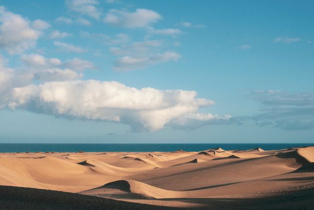 Maspalomas Gran Canaria